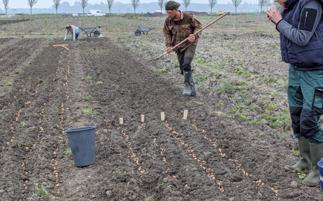 10.000 uitjes geplant