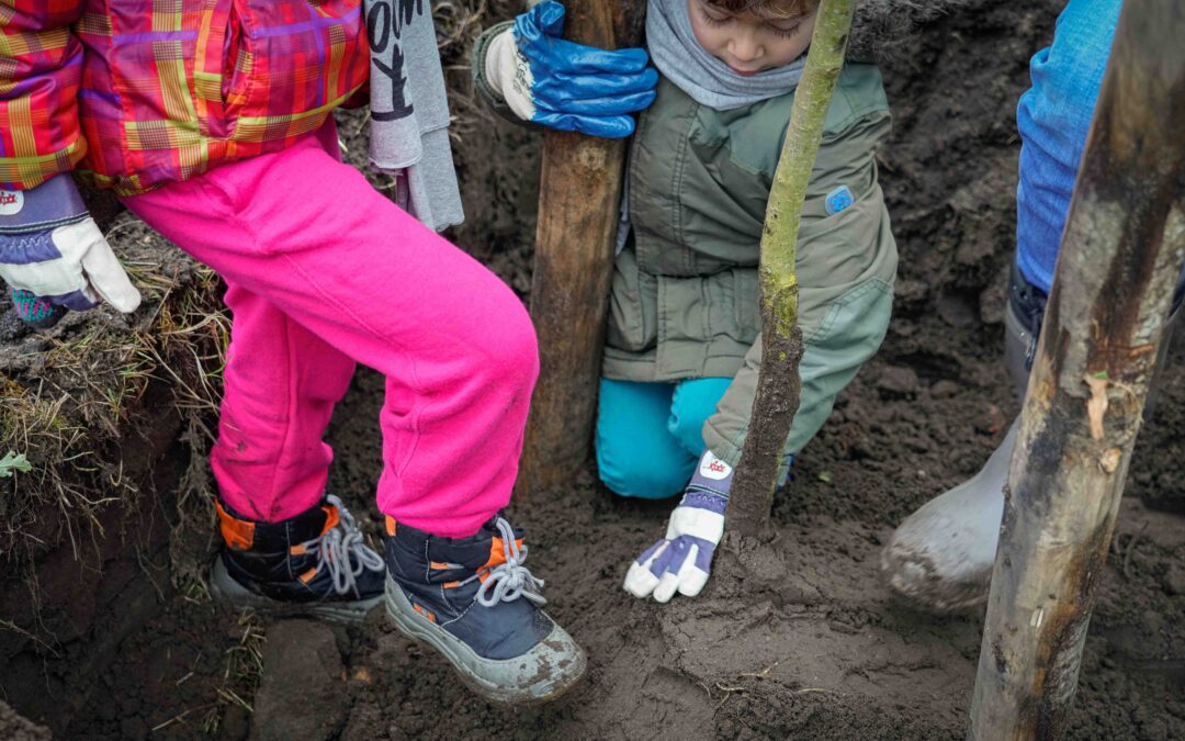 Boomplantfeestje