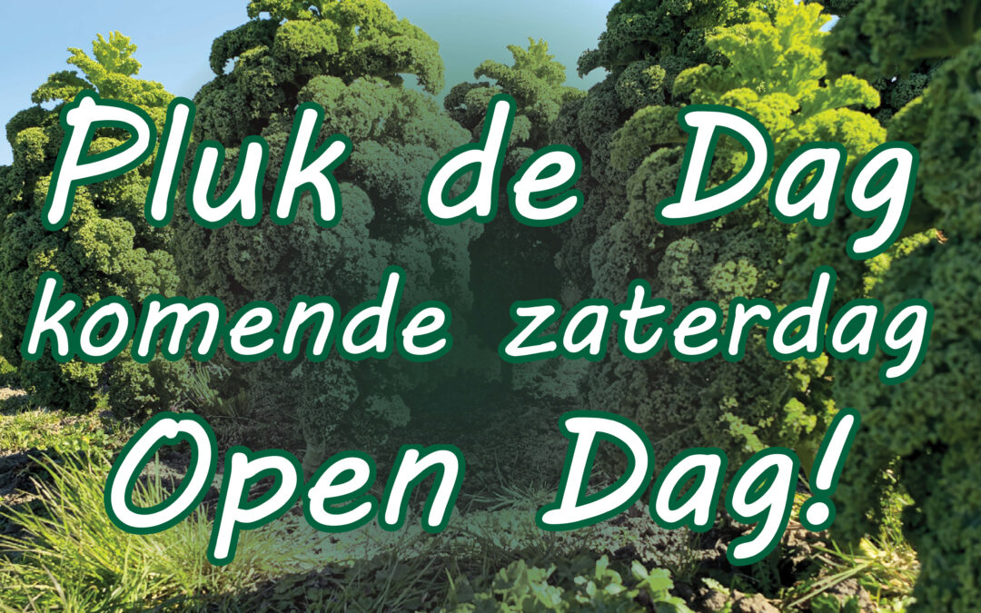 Pluk de Dag!