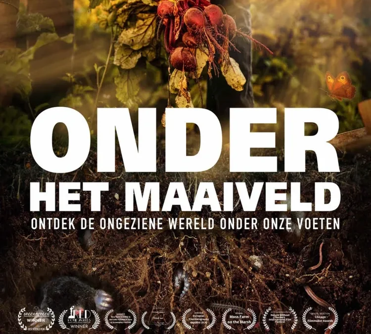 Onder het maaiveld
