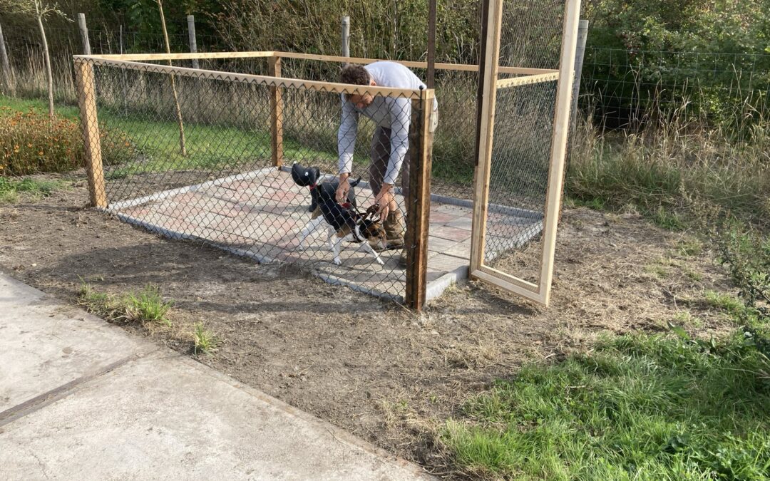 Hondenkennel