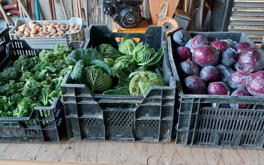 Altijd welkom op zaterdagochtend