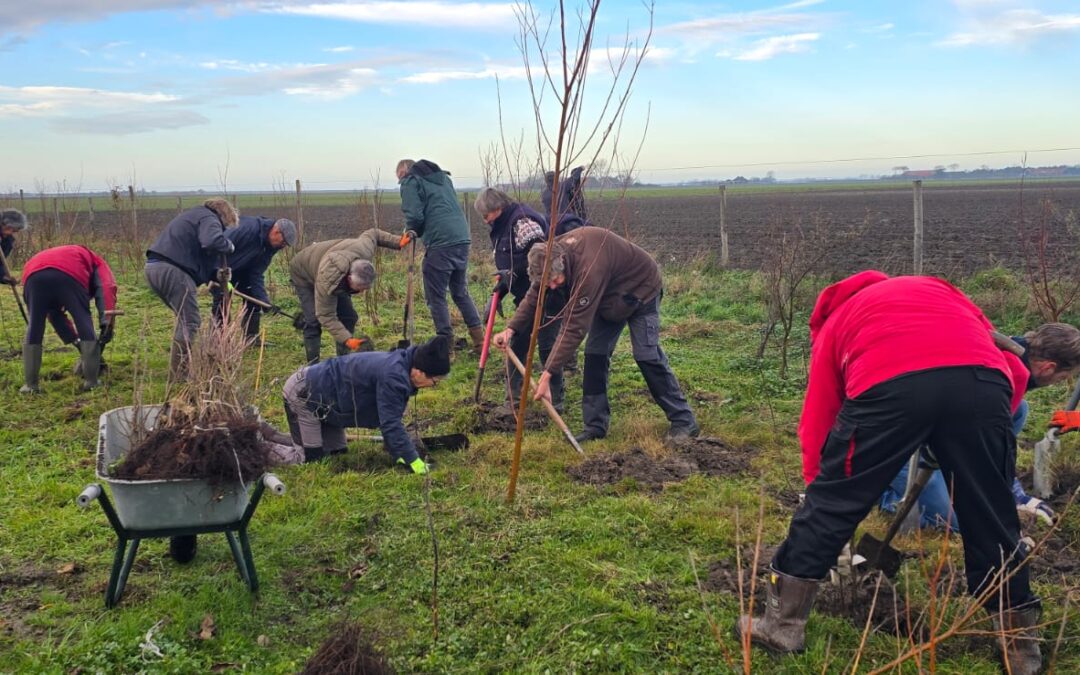 500 boompjes en struikjes