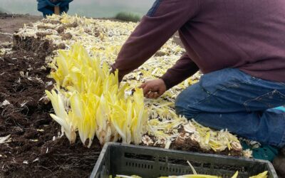 Het seizoen is begonnen