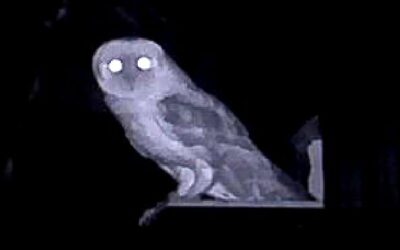 Kerkuilen gearriveerd!