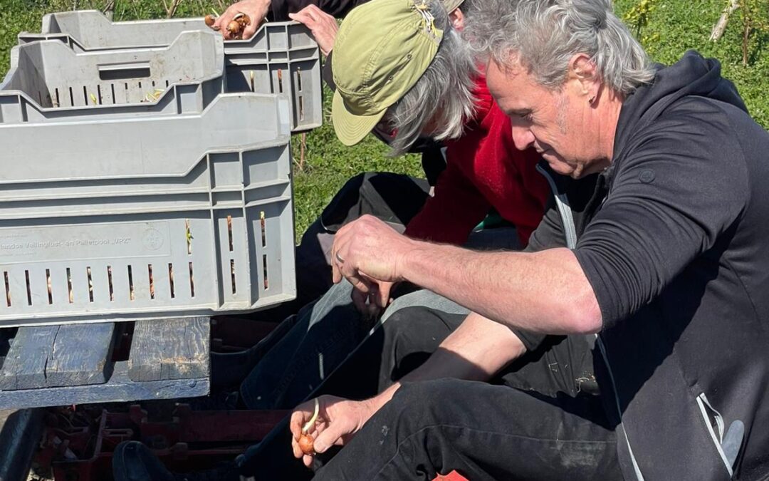 Zaaien, verspenen en planten