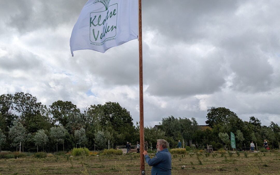 Gezellige dag