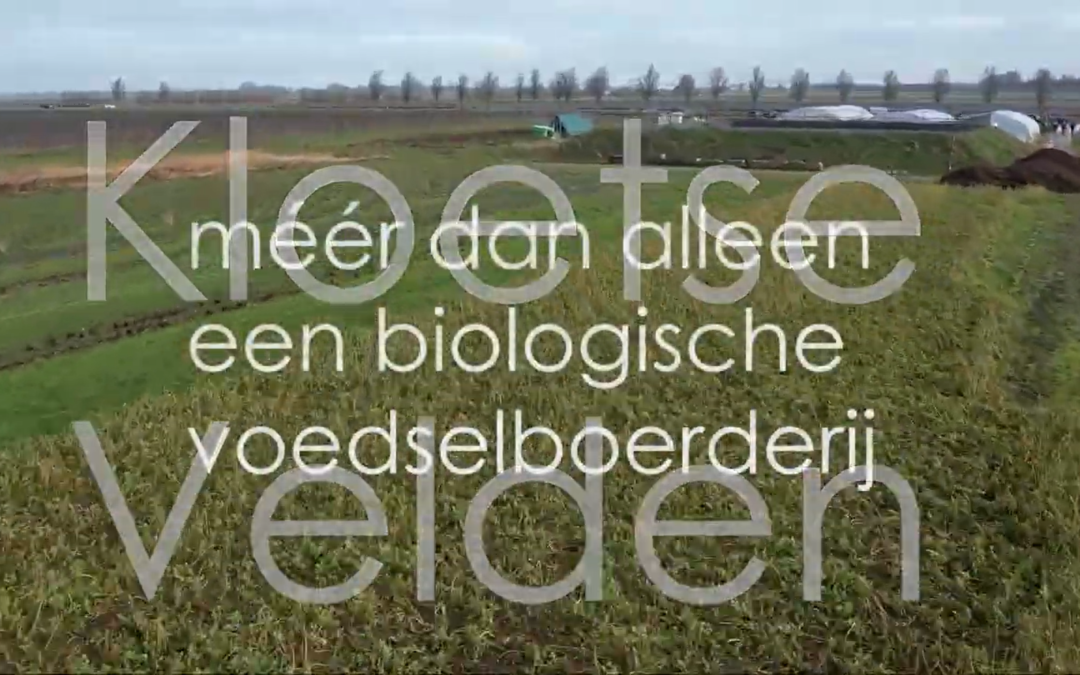 Winter-voorjaar 2026