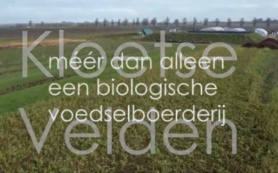 Winter-voorjaar 2026