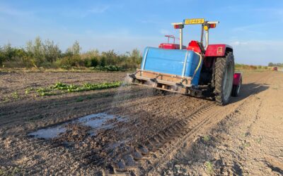 Zon, wind, warmte, droogte